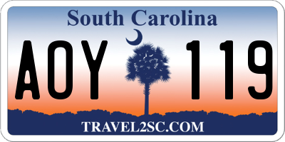 SC license plate AOY119