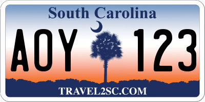 SC license plate AOY123