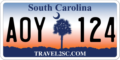 SC license plate AOY124