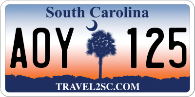 SC license plate AOY125