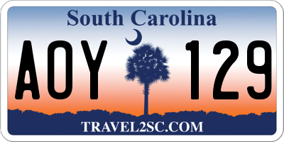 SC license plate AOY129