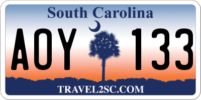 SC license plate AOY133