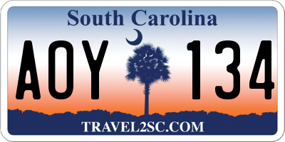 SC license plate AOY134