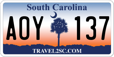 SC license plate AOY137