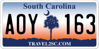 SC license plate AOY163