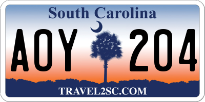 SC license plate AOY204