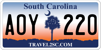 SC license plate AOY220