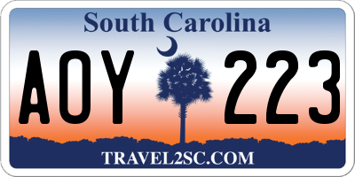 SC license plate AOY223