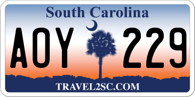 SC license plate AOY229