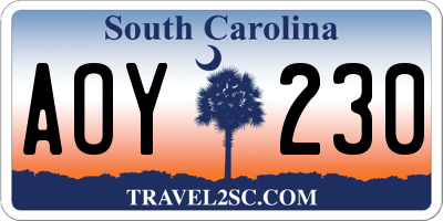 SC license plate AOY230