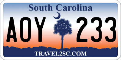 SC license plate AOY233