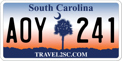 SC license plate AOY241