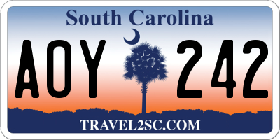 SC license plate AOY242