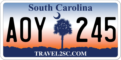 SC license plate AOY245
