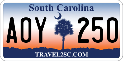 SC license plate AOY250