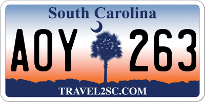 SC license plate AOY263