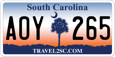 SC license plate AOY265