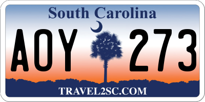 SC license plate AOY273
