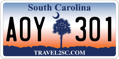 SC license plate AOY301