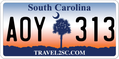 SC license plate AOY313