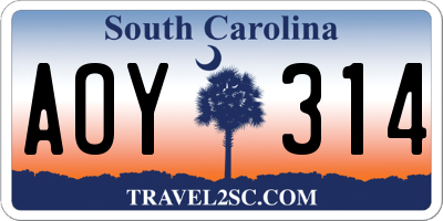 SC license plate AOY314