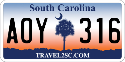 SC license plate AOY316