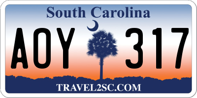 SC license plate AOY317