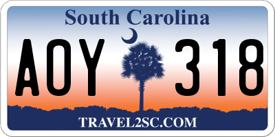 SC license plate AOY318