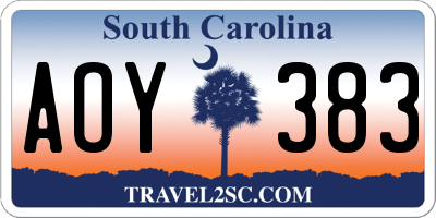SC license plate AOY383