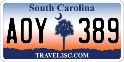SC license plate AOY389