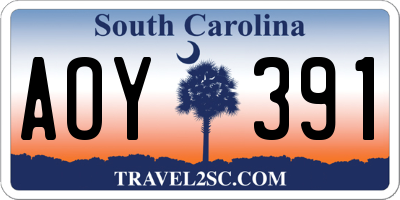 SC license plate AOY391
