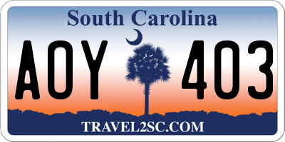 SC license plate AOY403