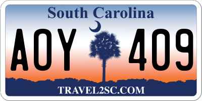 SC license plate AOY409