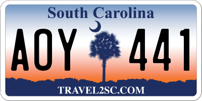 SC license plate AOY441