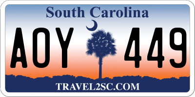 SC license plate AOY449