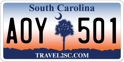 SC license plate AOY501