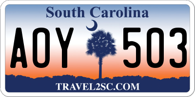 SC license plate AOY503