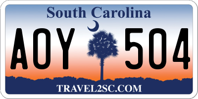 SC license plate AOY504