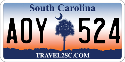 SC license plate AOY524