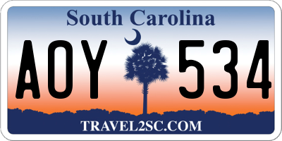 SC license plate AOY534