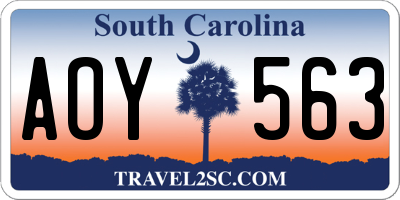 SC license plate AOY563