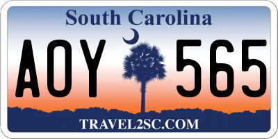 SC license plate AOY565