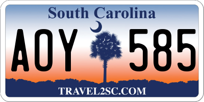 SC license plate AOY585