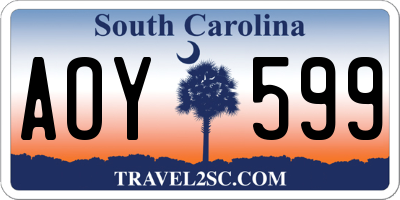 SC license plate AOY599