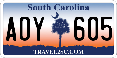 SC license plate AOY605