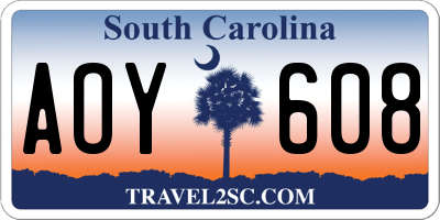 SC license plate AOY608