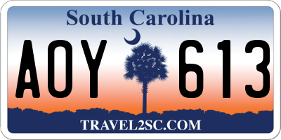 SC license plate AOY613