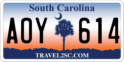 SC license plate AOY614
