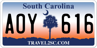 SC license plate AOY616