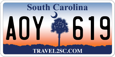 SC license plate AOY619